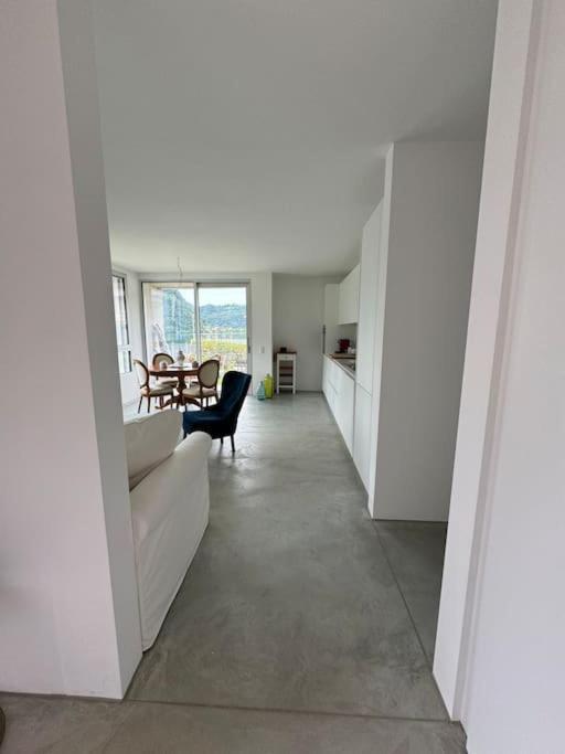 Neue Gartenwohnung Mit Sicht Auf Den Luganersee Ponte Tresa